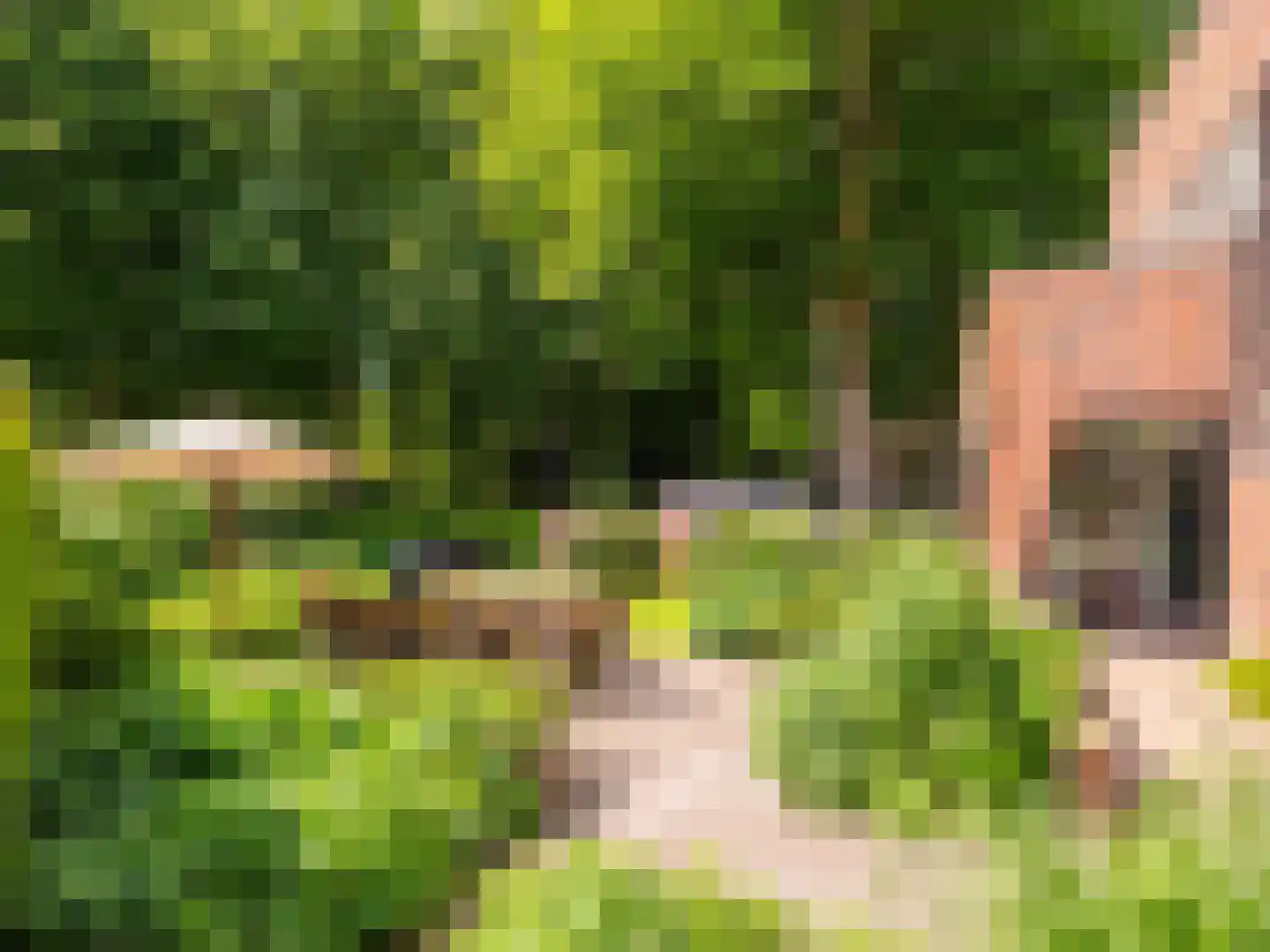 Meerwijklaan 1 Bergen (NH) thumbnail 71