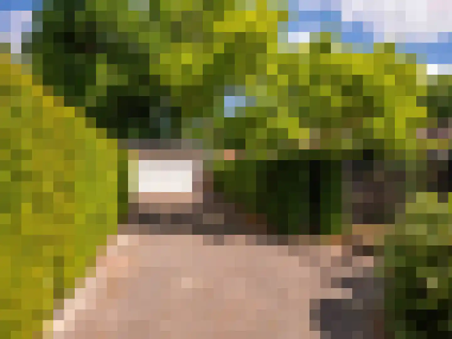 Meerwijklaan 1 Bergen (NH) thumbnail 75