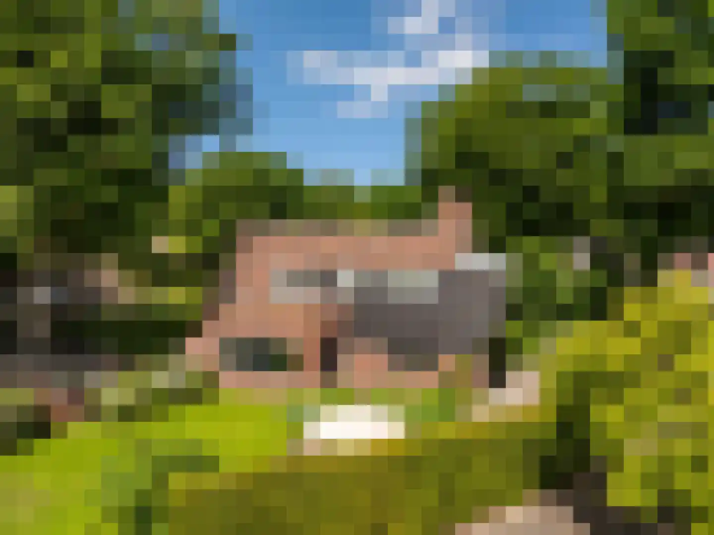 Meerwijklaan 1 Bergen (NH) thumbnail 77