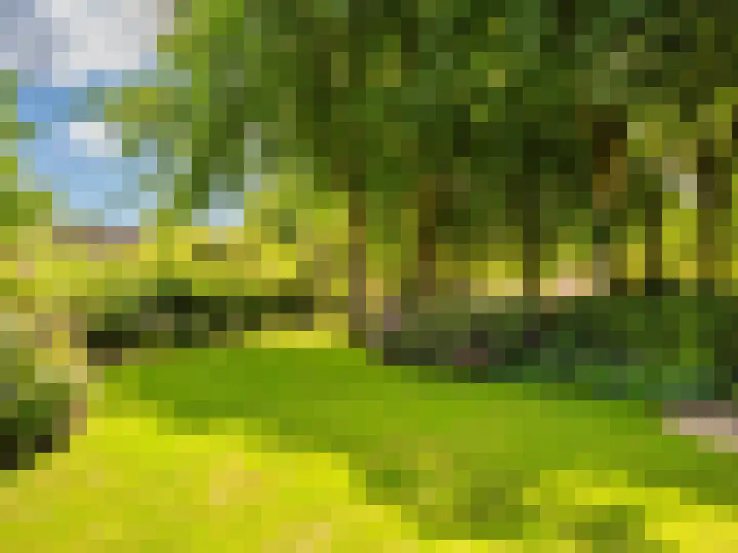 Meerwijklaan 1 Bergen (NH) thumbnail 79
