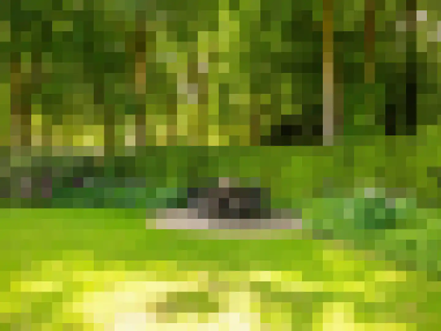 Meerwijklaan 1 Bergen (NH) thumbnail 81