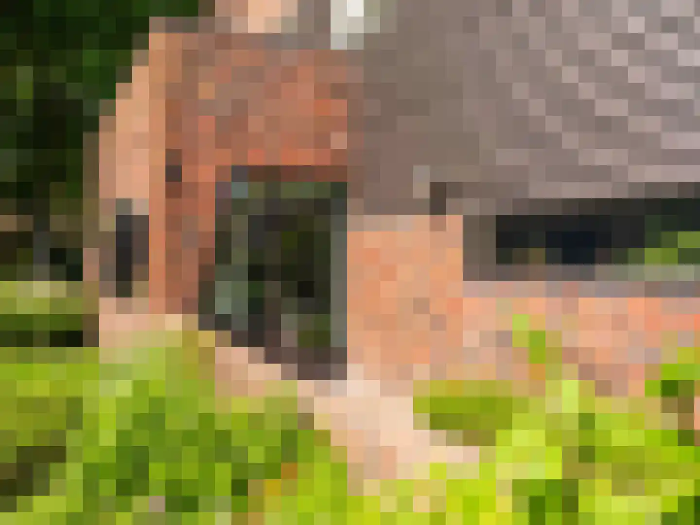 Meerwijklaan 1 Bergen (NH) thumbnail 83