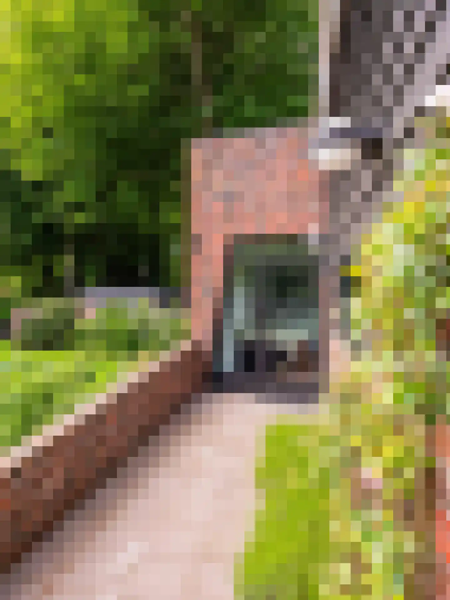 Meerwijklaan 1 Bergen (NH) thumbnail 84