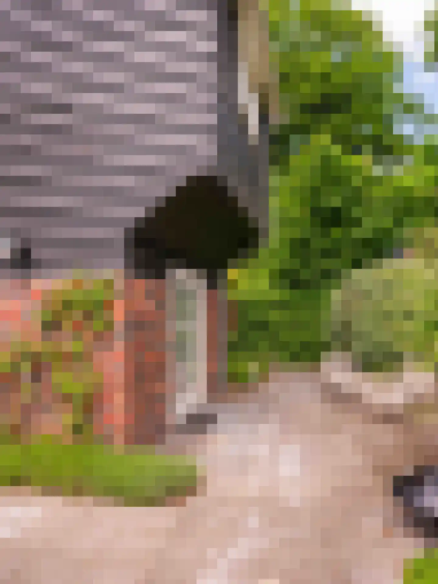 Meerwijklaan 1 Bergen (NH) thumbnail 85