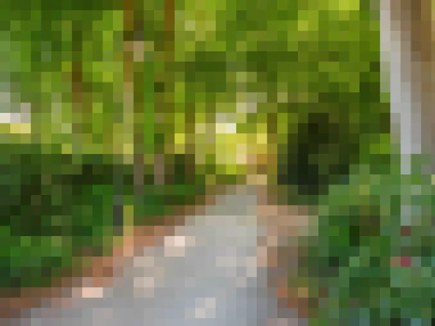 Meerwijklaan 1 Bergen (NH) thumbnail 93