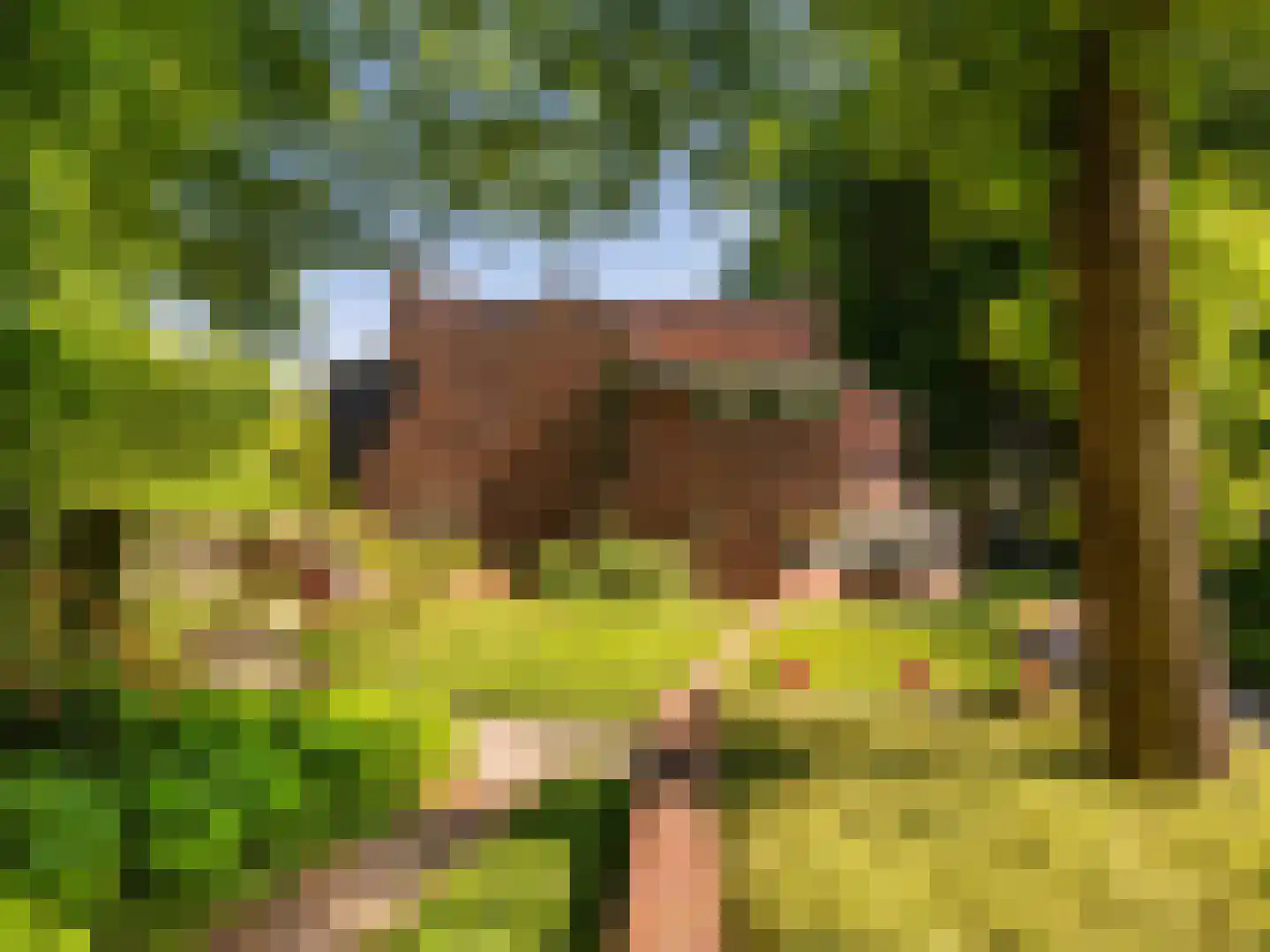 Meerwijklaan 1 Bergen (NH) thumbnail 94