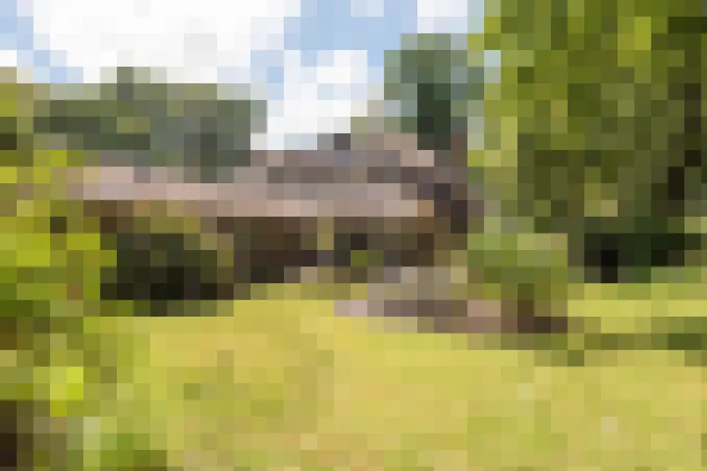 Meerwijklaan 5 Bergen (NH) thumbnail 4