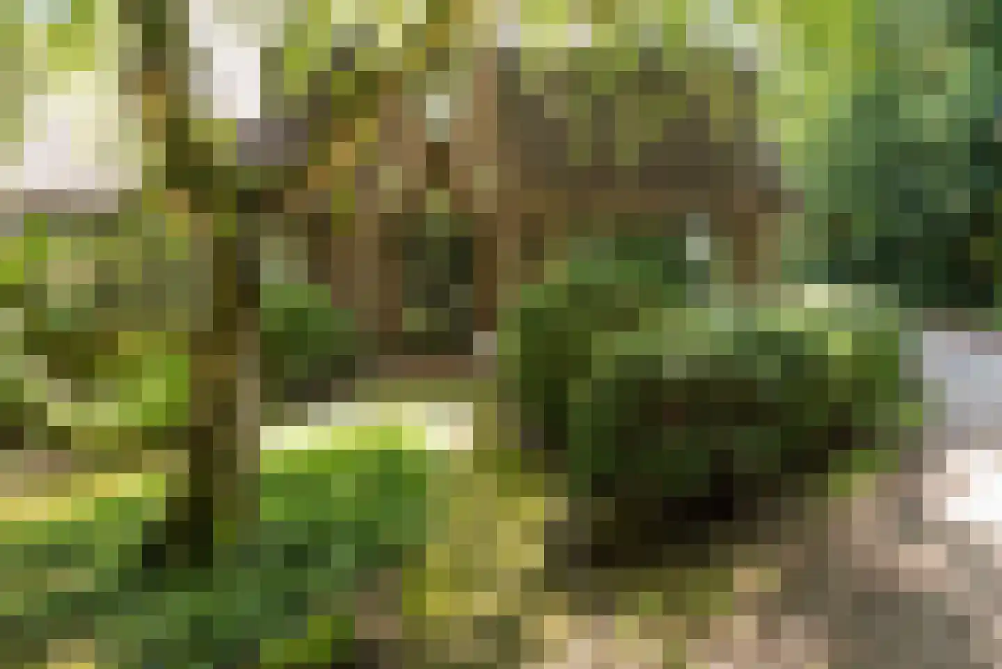 Meerwijklaan 5 Bergen (NH) thumbnail 5