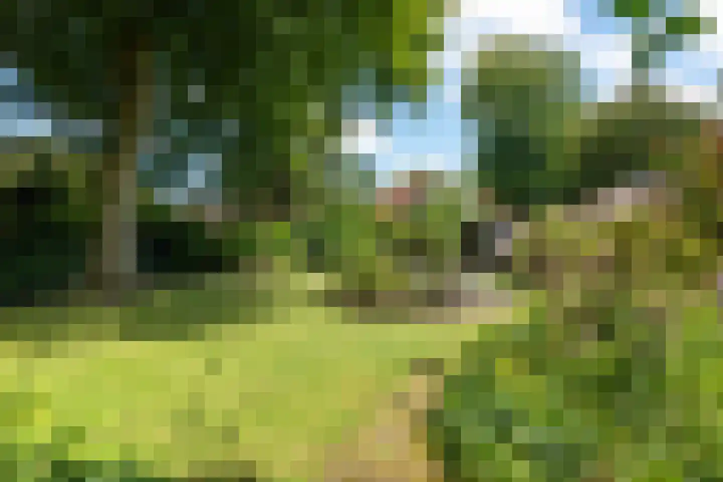 Meerwijklaan 5 Bergen (NH) thumbnail 54