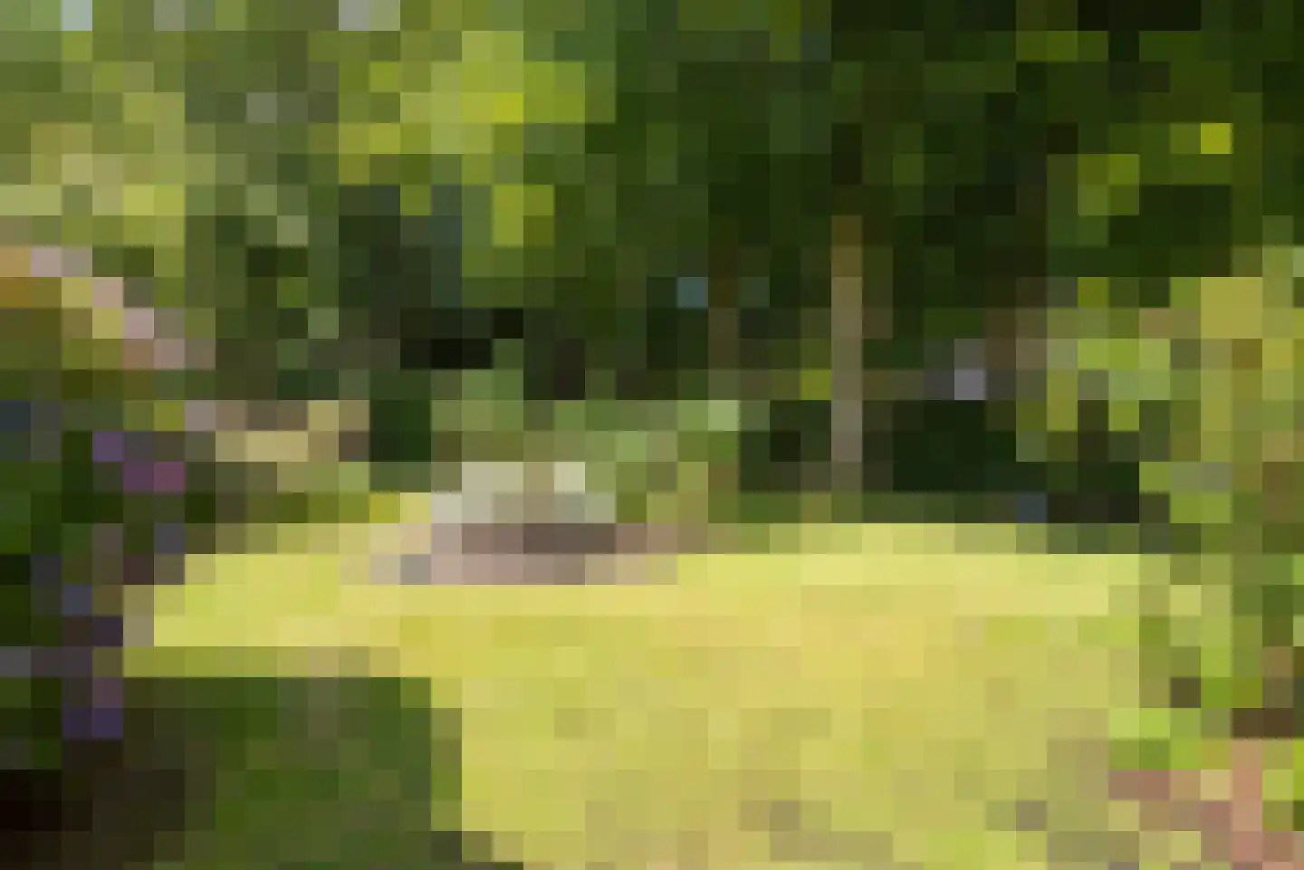 Meerwijklaan 5 Bergen (NH) thumbnail 55