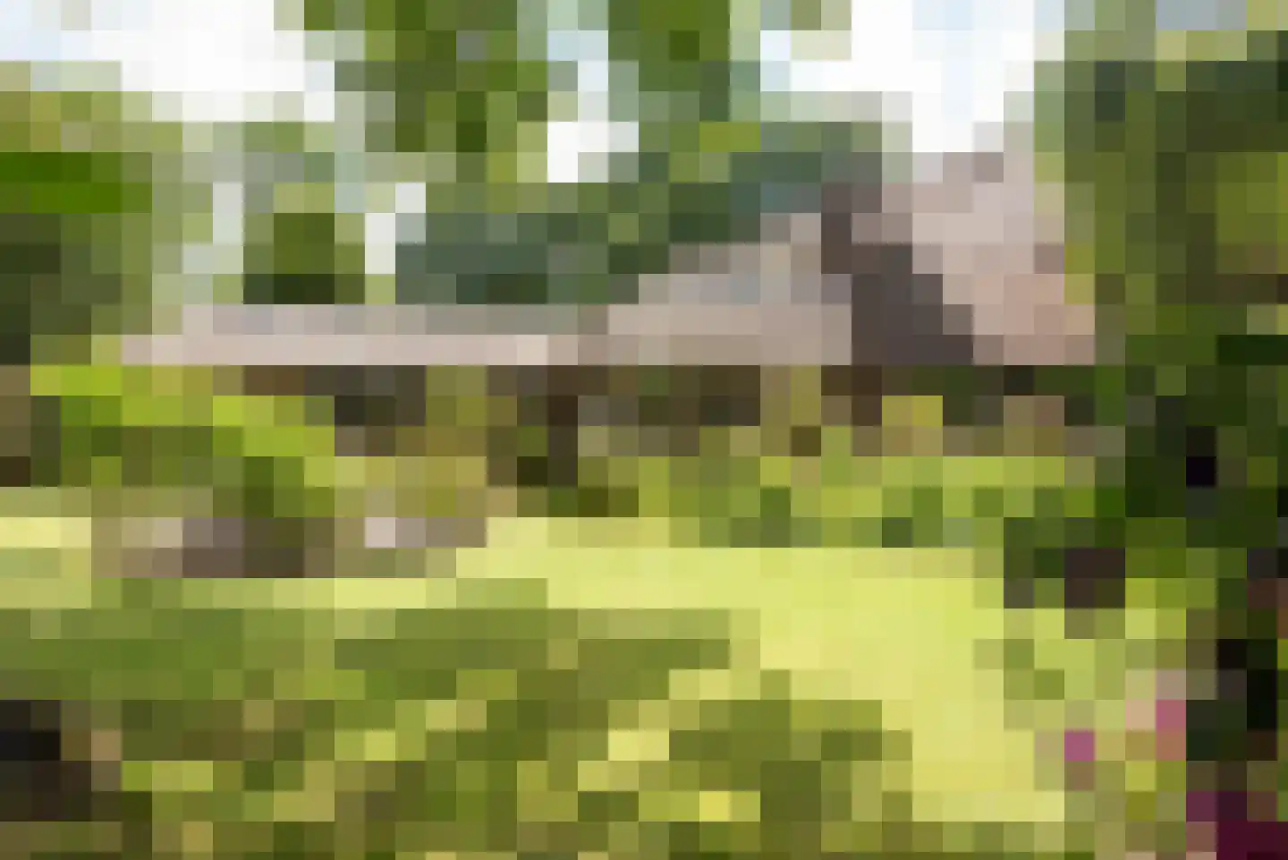 Meerwijklaan 5 Bergen (NH) thumbnail 57