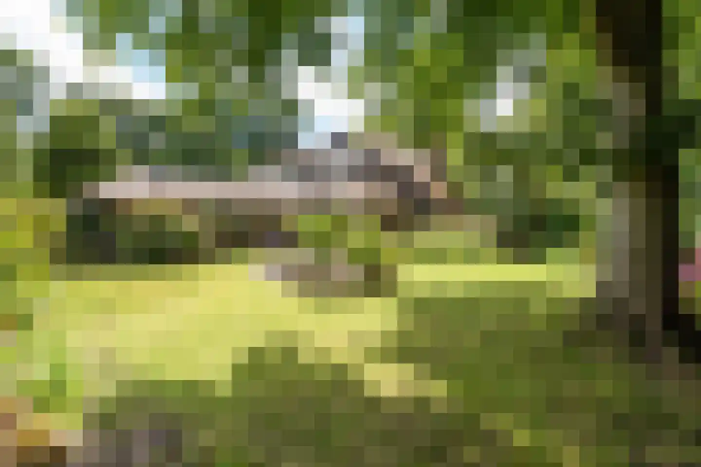 Meerwijklaan 5 Bergen (NH) thumbnail 58