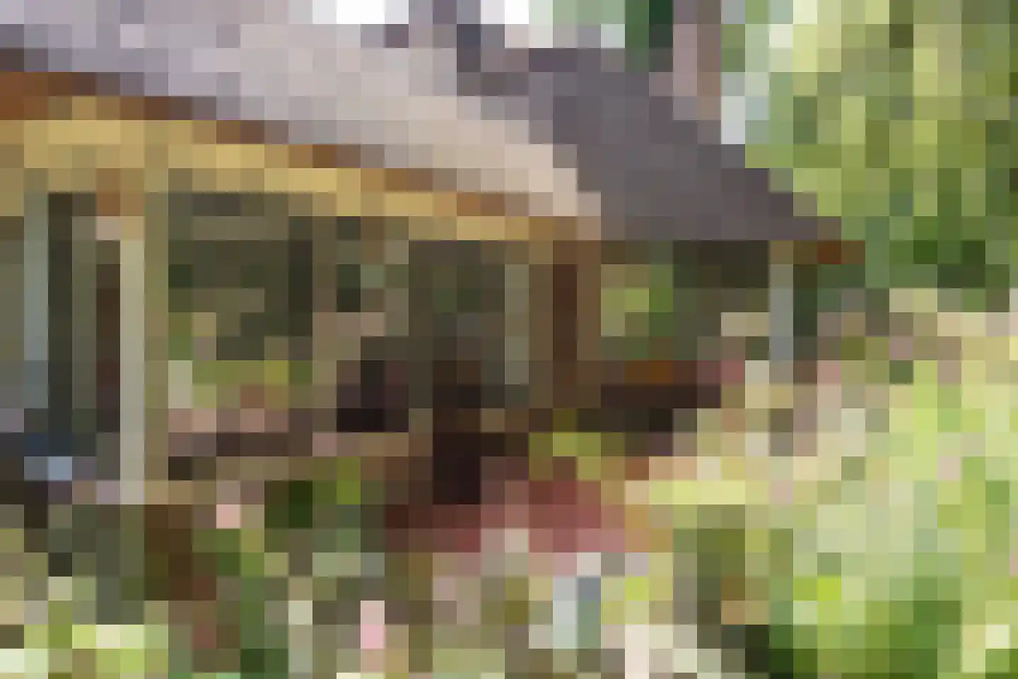 Meerwijklaan 5 Bergen (NH) thumbnail 60
