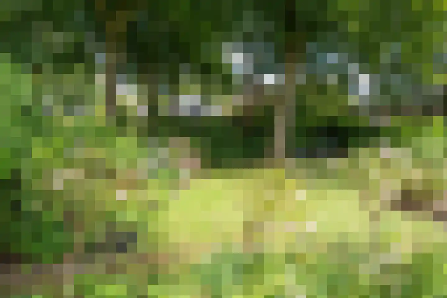 Meerwijklaan 5 Bergen (NH) thumbnail 62
