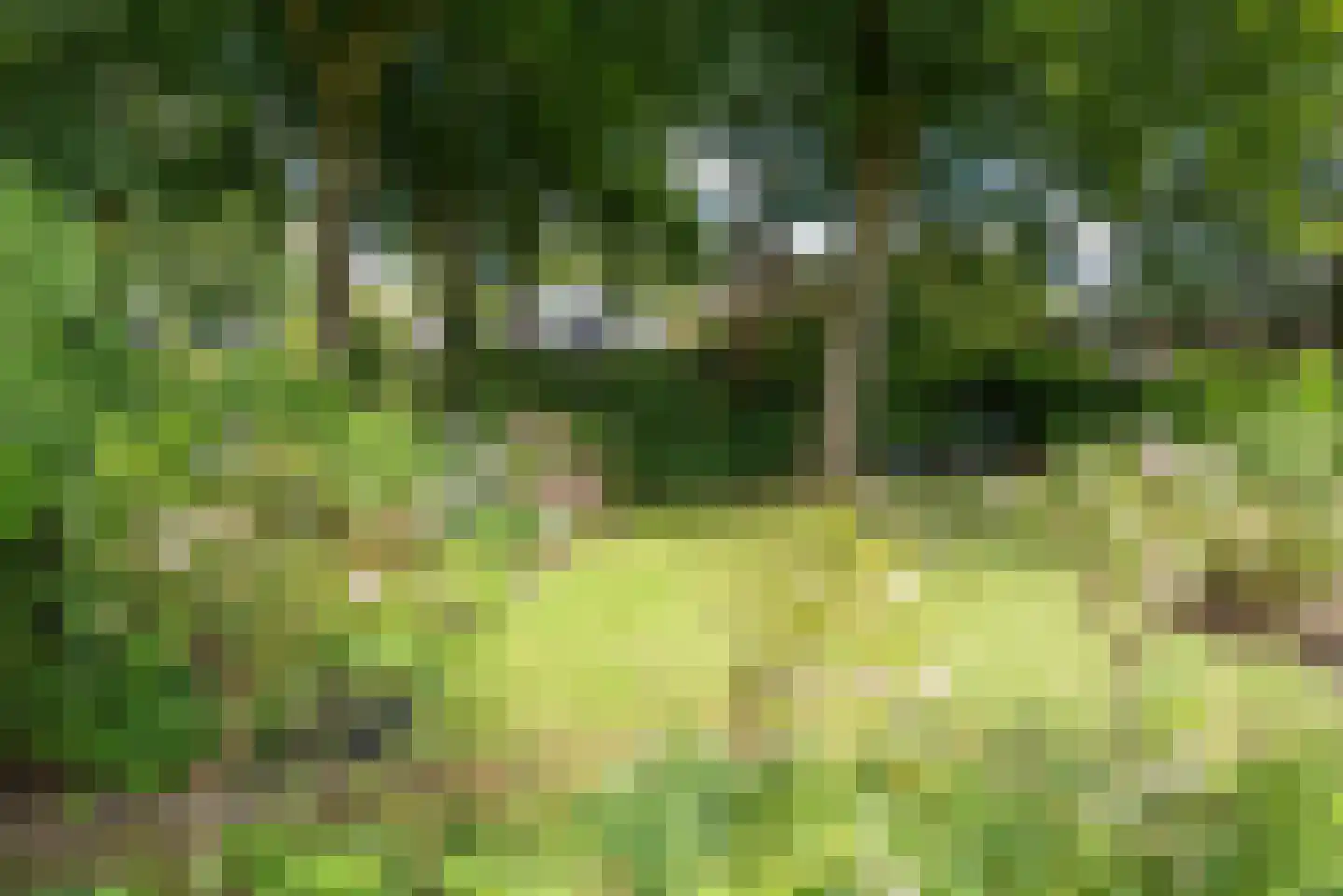 Meerwijklaan 5 Bergen (NH) thumbnail 64