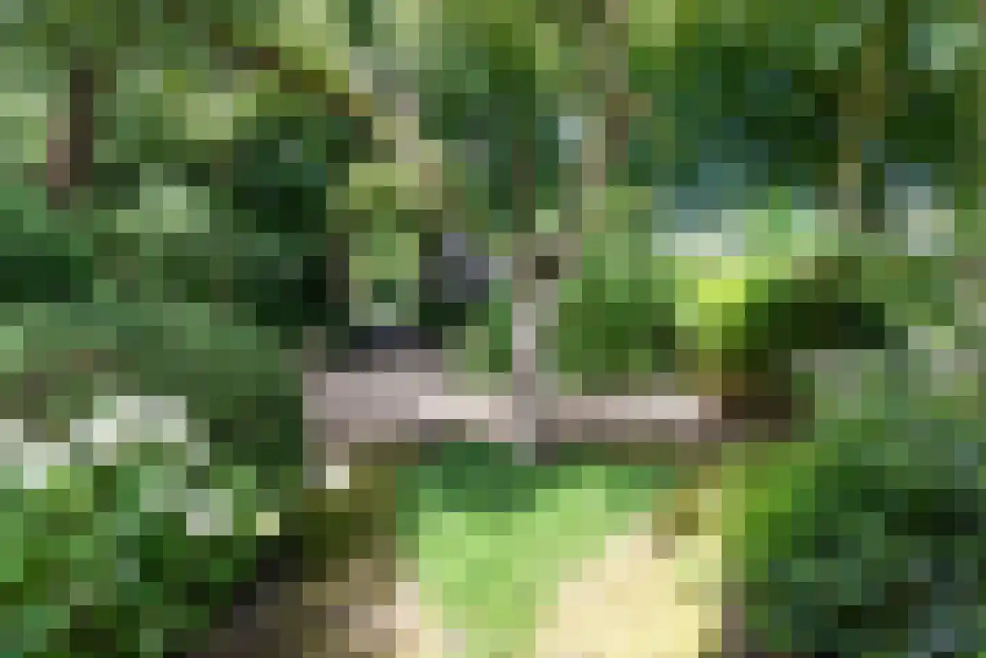 Meerwijklaan 5 Bergen (NH) thumbnail 69