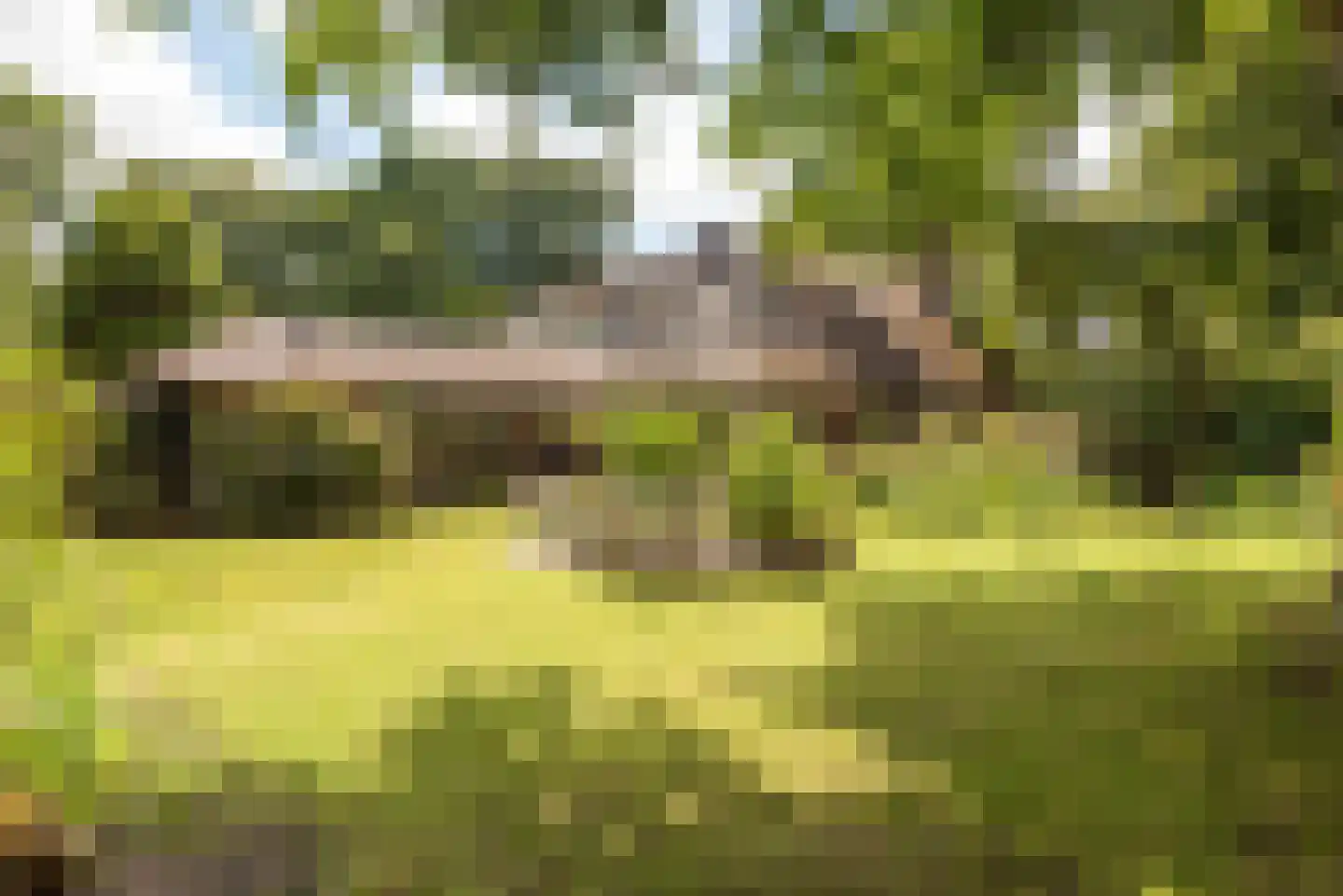 Meerwijklaan 5 Bergen (NH) thumbnail 72