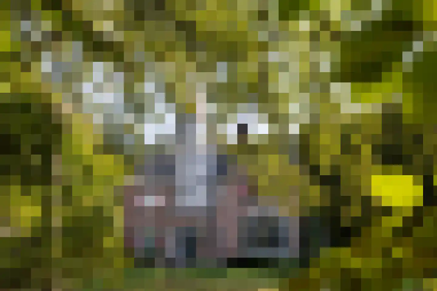 Meerwijkselaan 9 Berg en Dal thumbnail 10