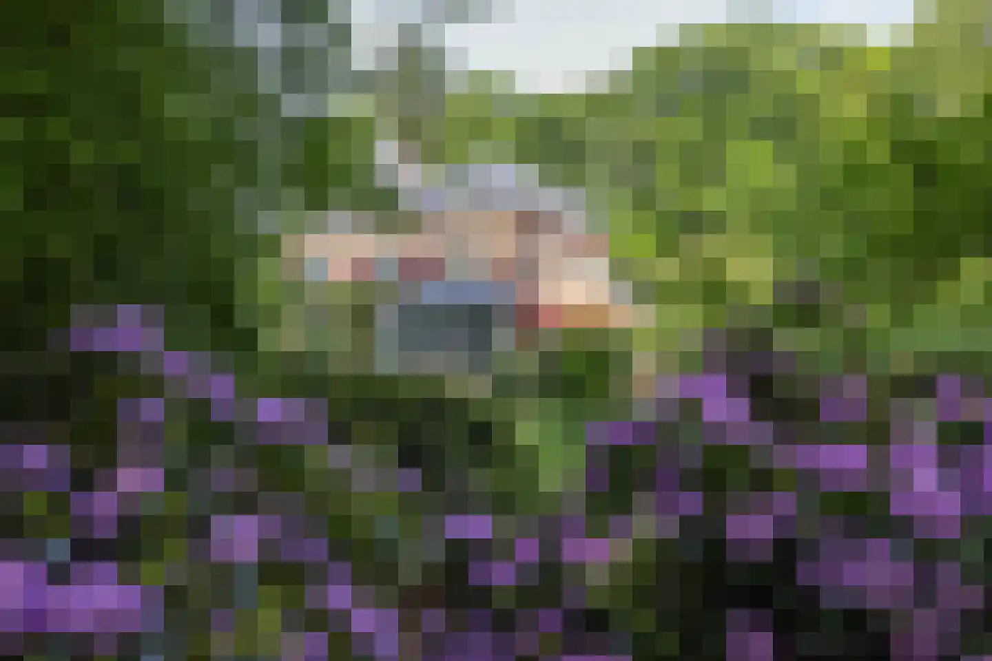 Meerwijkselaan 9 Berg en Dal thumbnail 15