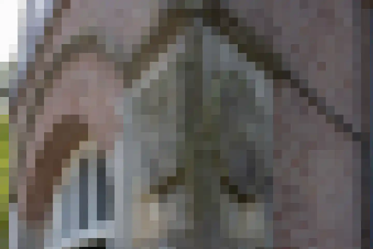 Meerwijkselaan 9 Berg en Dal thumbnail 18