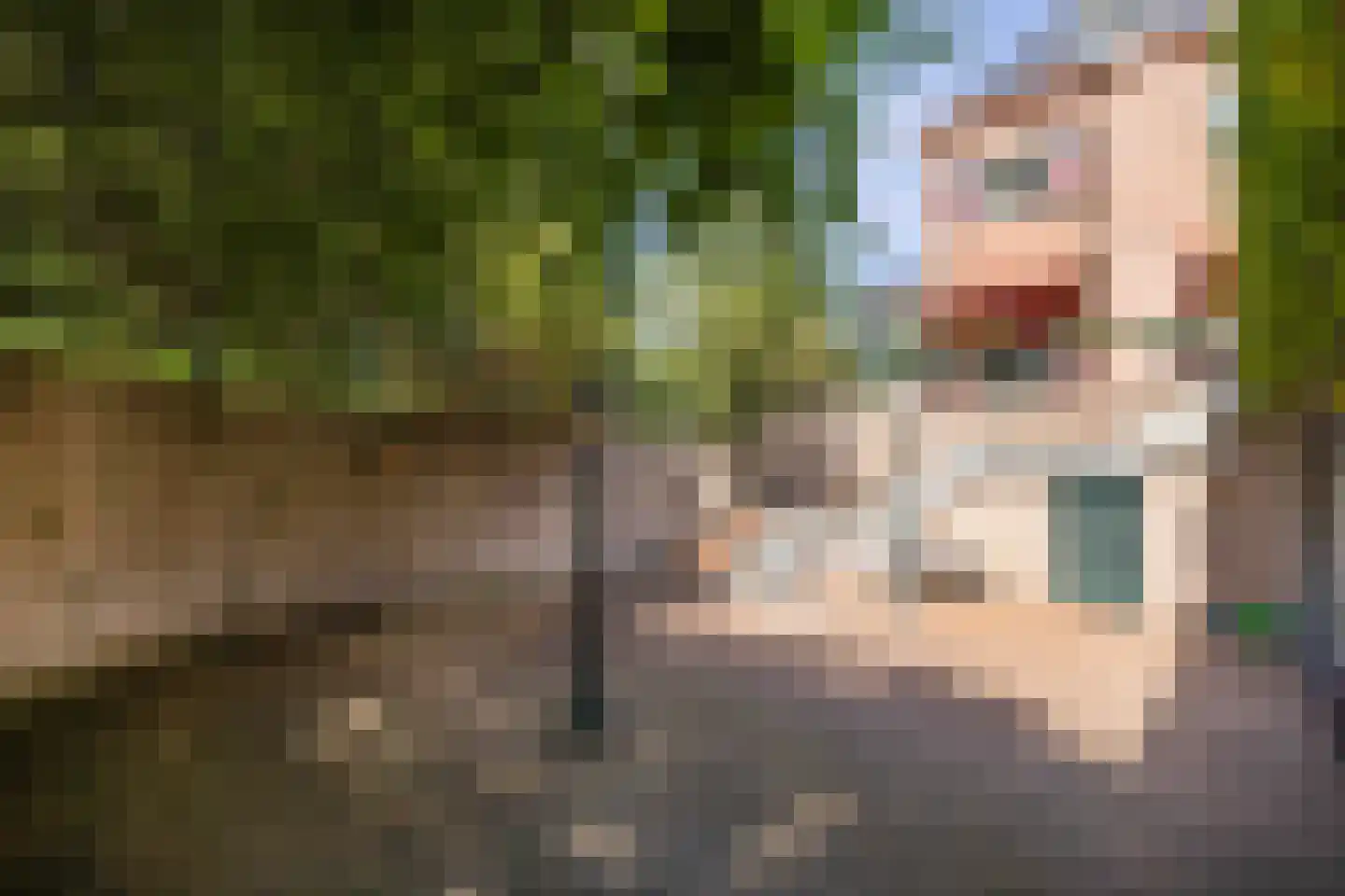 Meerwijkselaan 9 Berg en Dal thumbnail 22