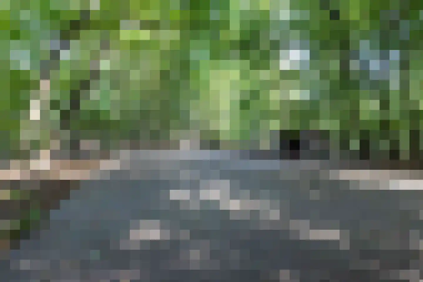Meerwijkselaan 9 Berg en Dal thumbnail 28
