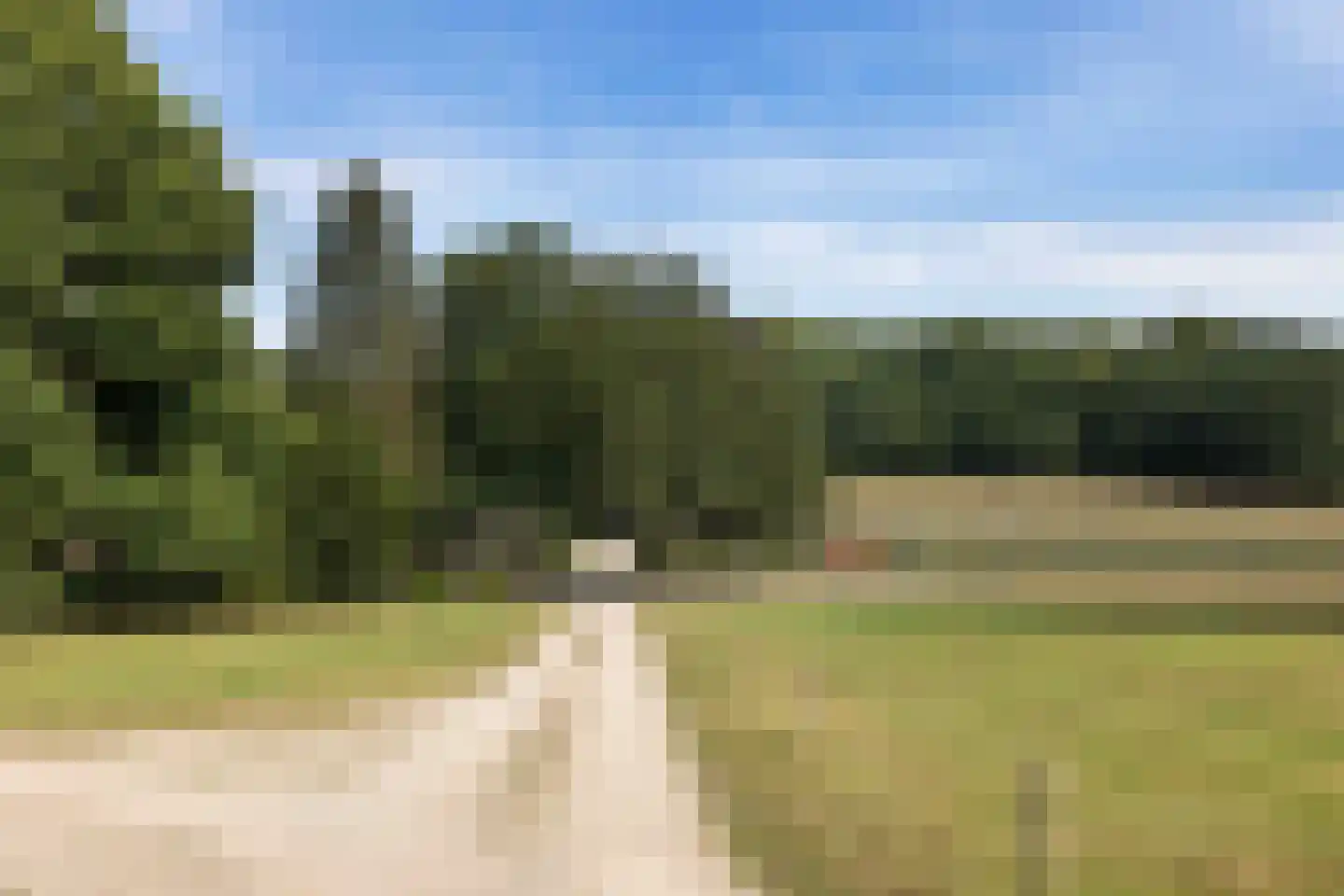 Meerwijkselaan 9 Berg en Dal foto 3