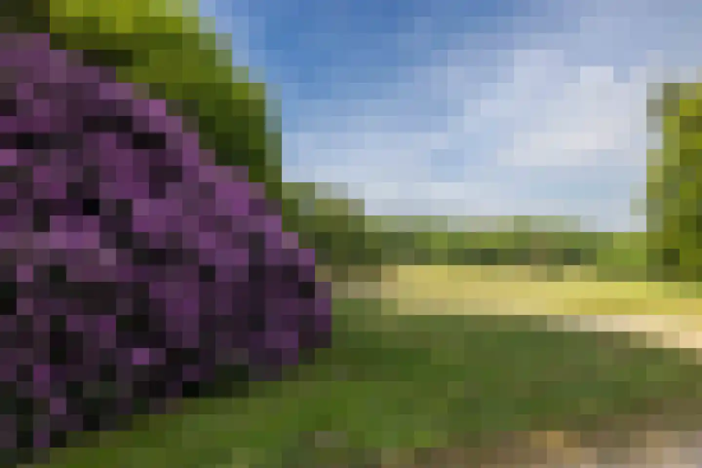 Meerwijkselaan 9 Berg en Dal thumbnail 4