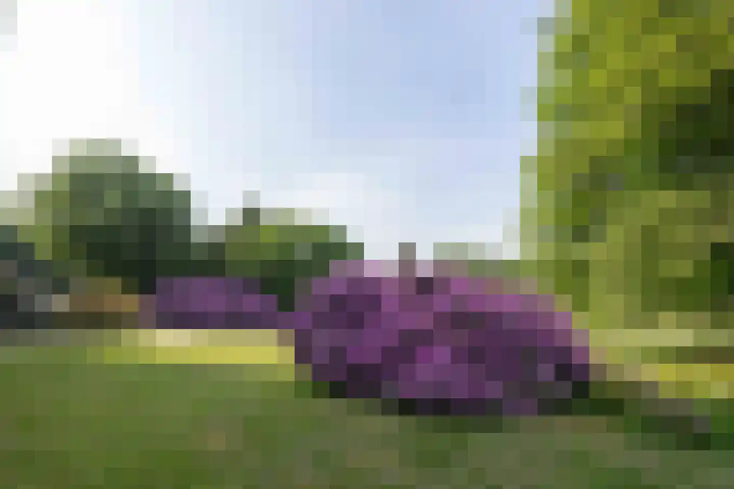 Meerwijkselaan 9 Berg en Dal thumbnail 5