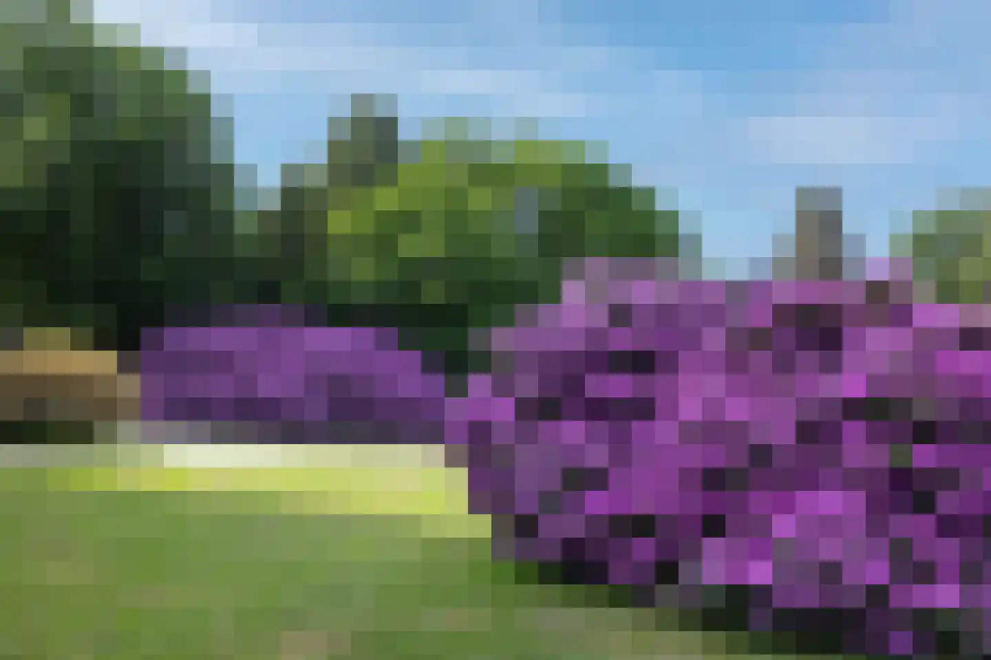 Meerwijkselaan 9 Berg en Dal thumbnail 6