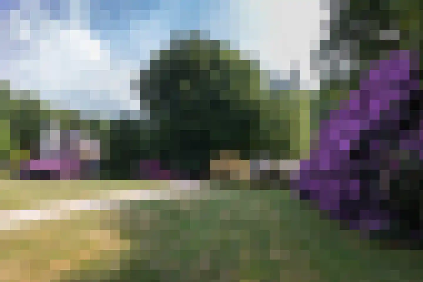 Meerwijkselaan 9 Berg en Dal thumbnail 7