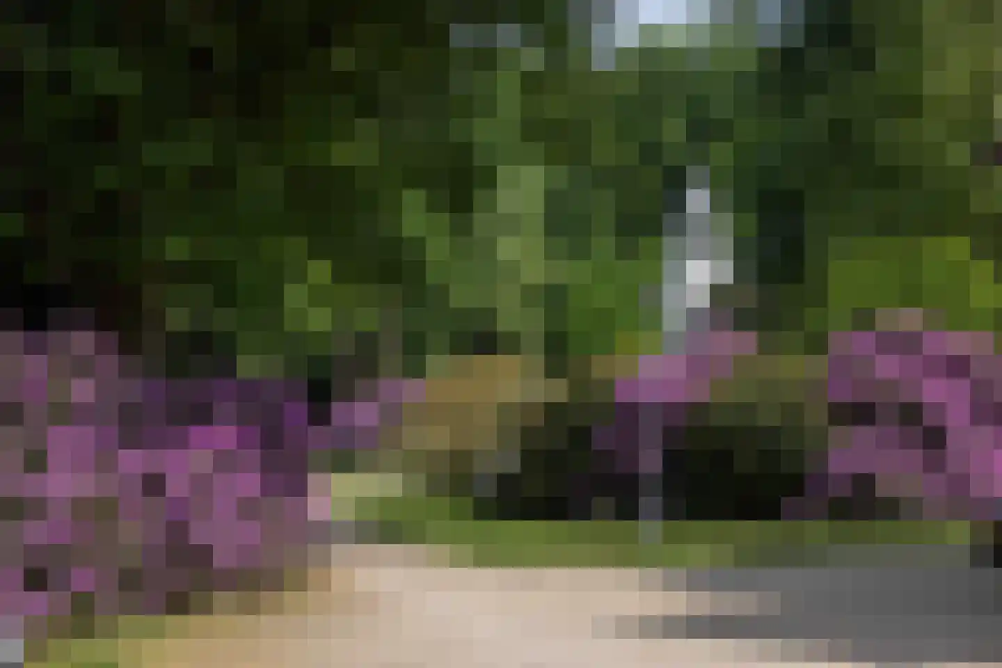 Meerwijkselaan 9 Berg en Dal thumbnail 8