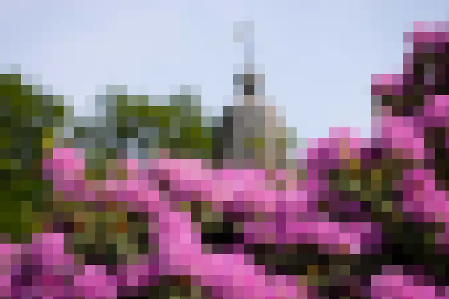Meerwijkselaan 9 Berg en Dal thumbnail 9