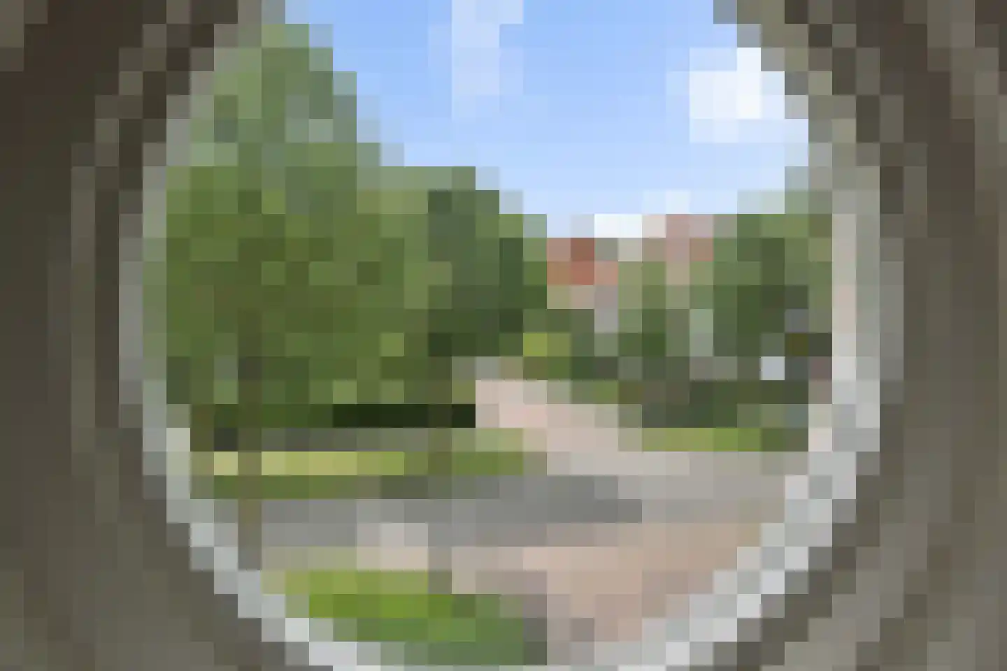 Meerwijkweg 35 's-Hertogenbosch thumbnail 25