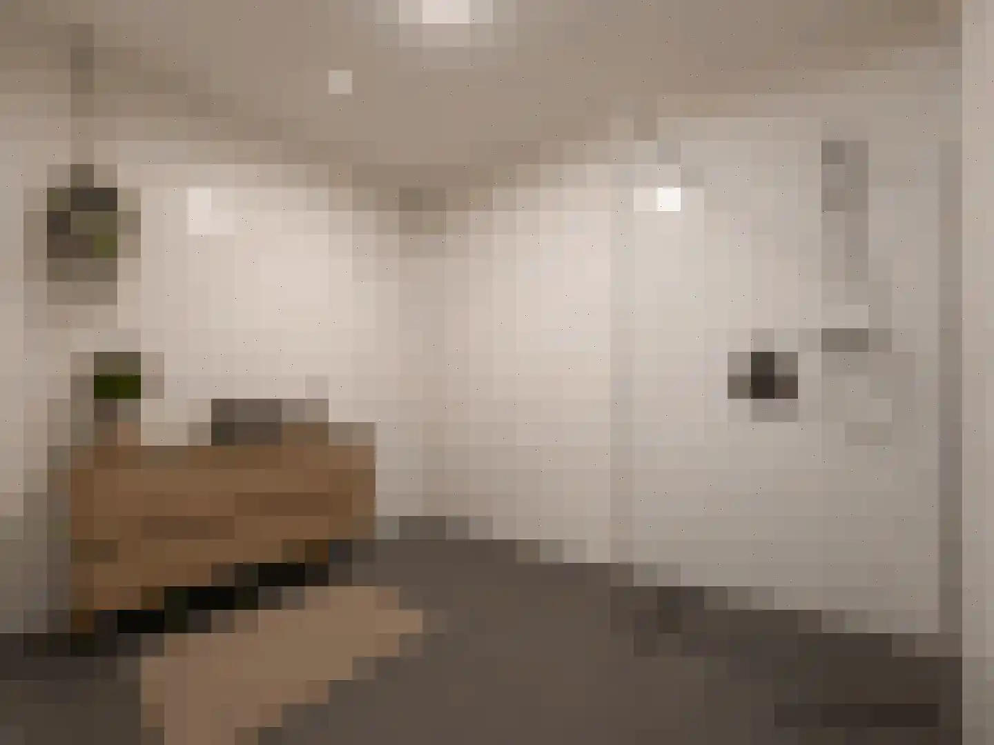 Meerzand 20 Eindhoven thumbnail 24