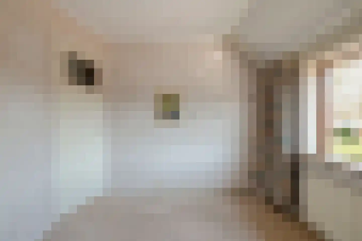 Meerzicht 11 Abcoude thumbnail 17