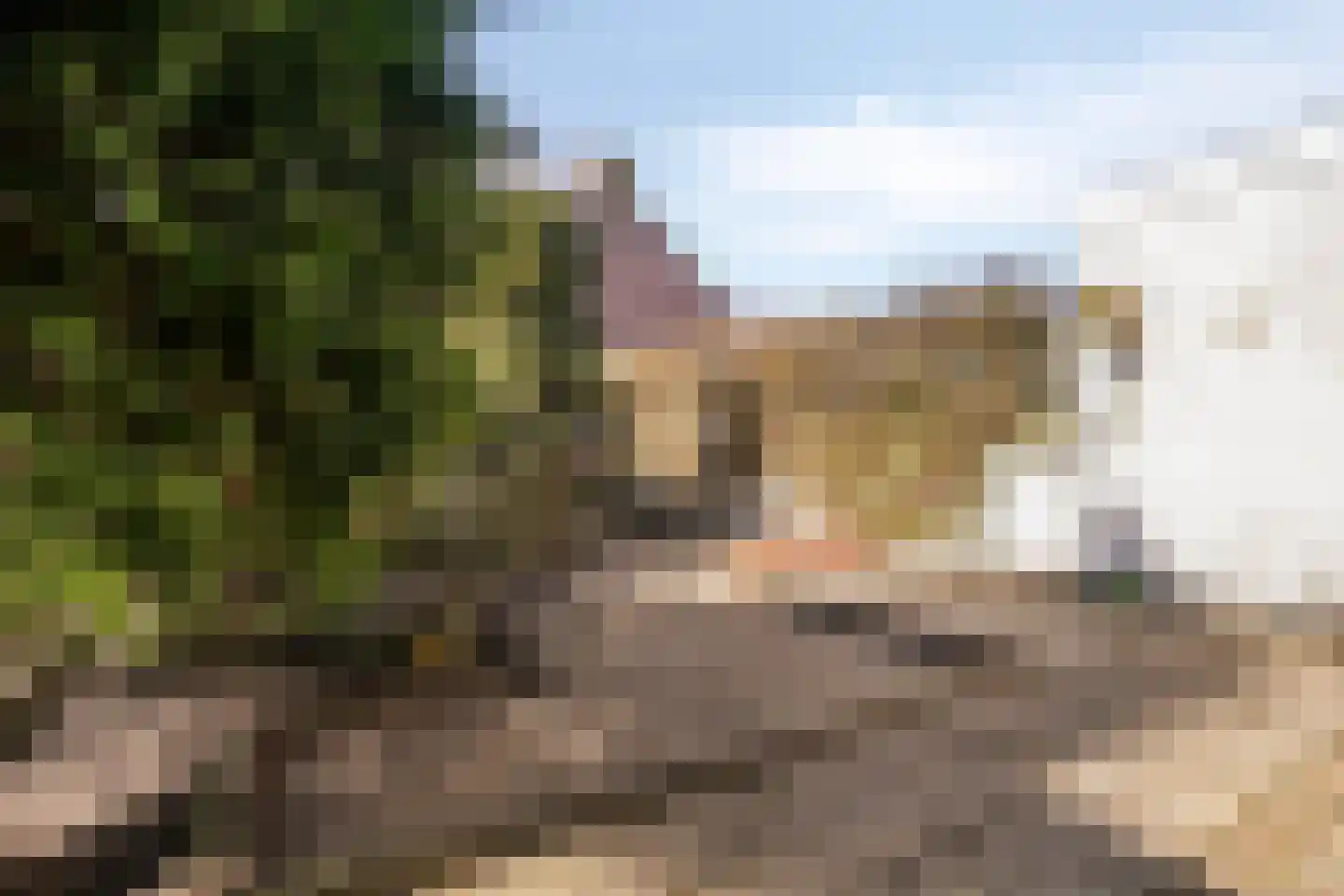 Meerzicht 11 Abcoude thumbnail 22