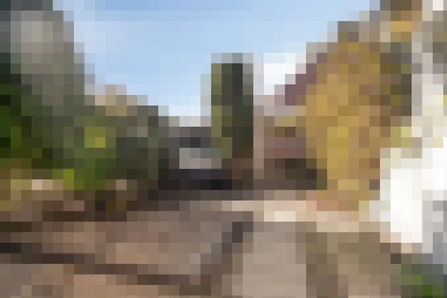 Meerzicht 11 Abcoude thumbnail 23
