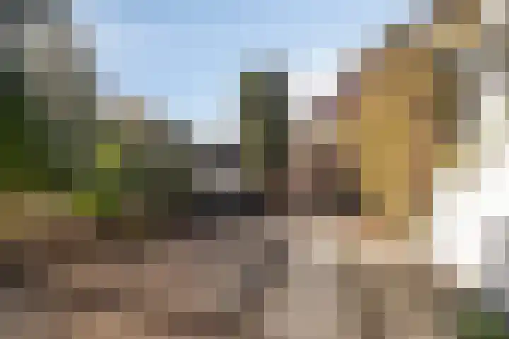 Meerzicht 11 Abcoude thumbnail 24