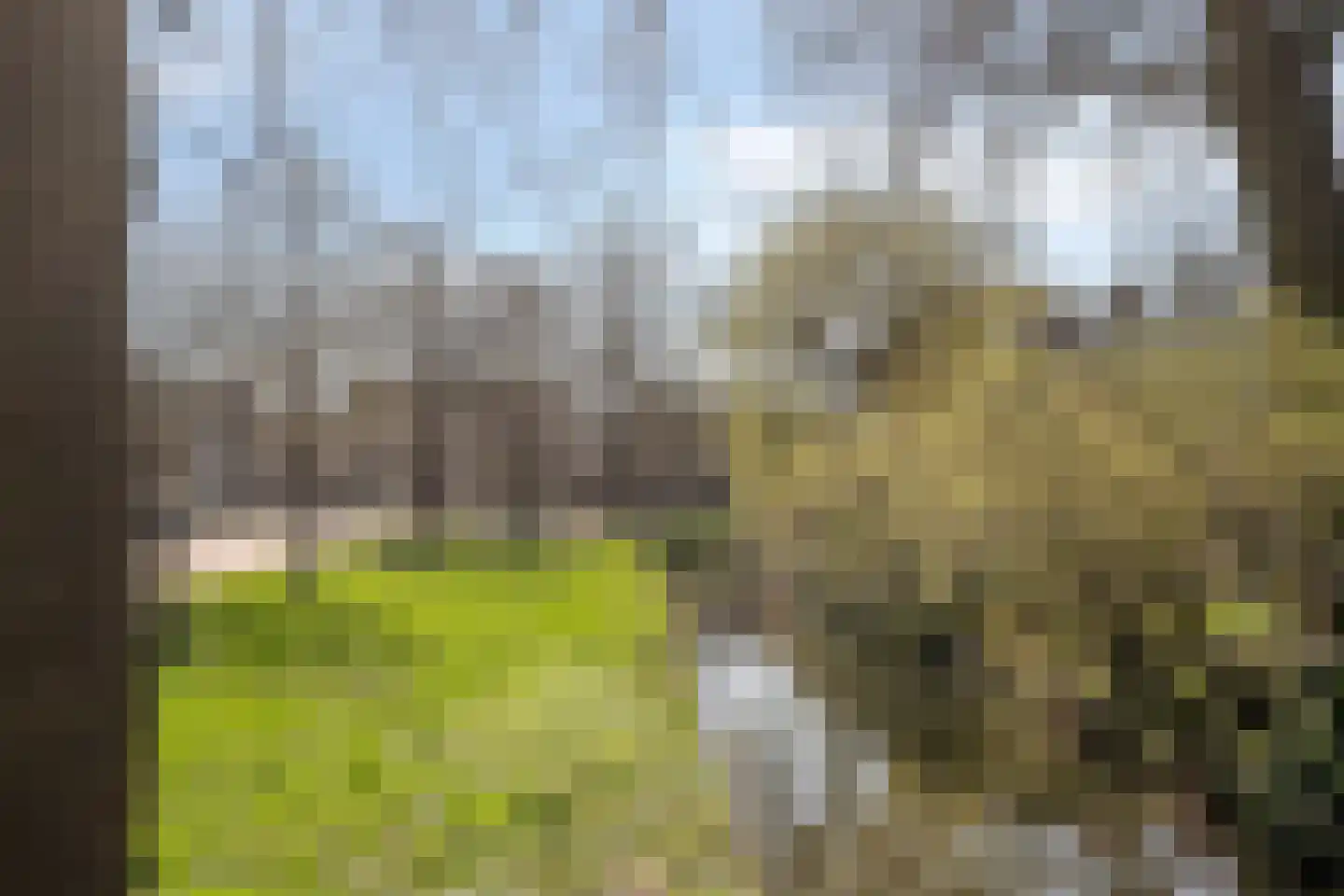 Meerzicht 11 Abcoude thumbnail 26