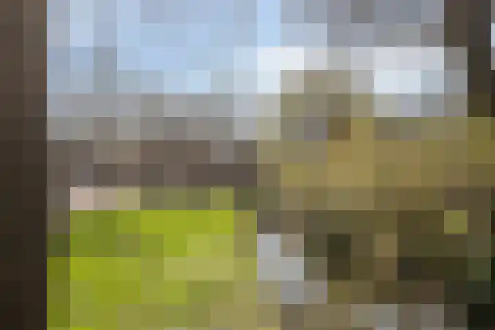 Meerzicht 11 Abcoude thumbnail 27