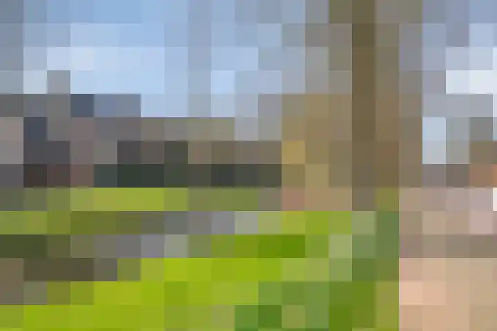 Meerzicht 11 Abcoude thumbnail 28