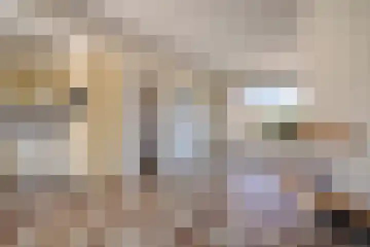 Meerzicht 11 Abcoude thumbnail 6