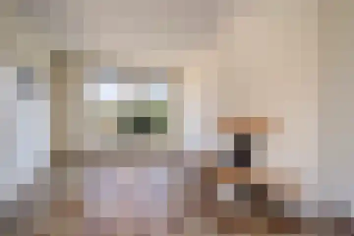 Meerzicht 11 Abcoude thumbnail 7