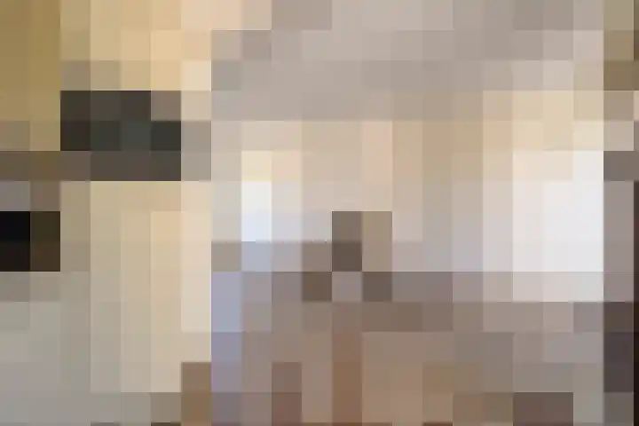 Meerzicht 11 Abcoude thumbnail 9
