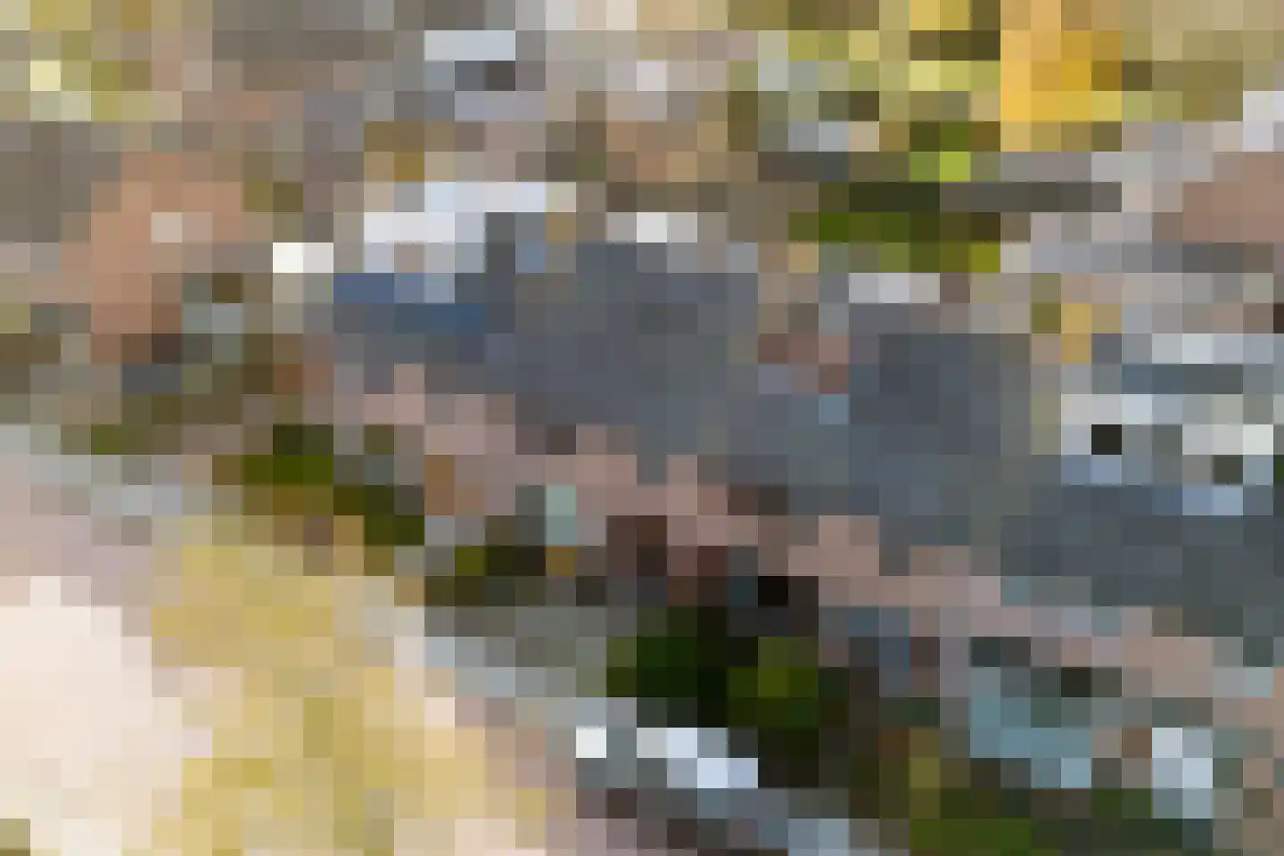 Meerzicht 9 Abcoude thumbnail 5