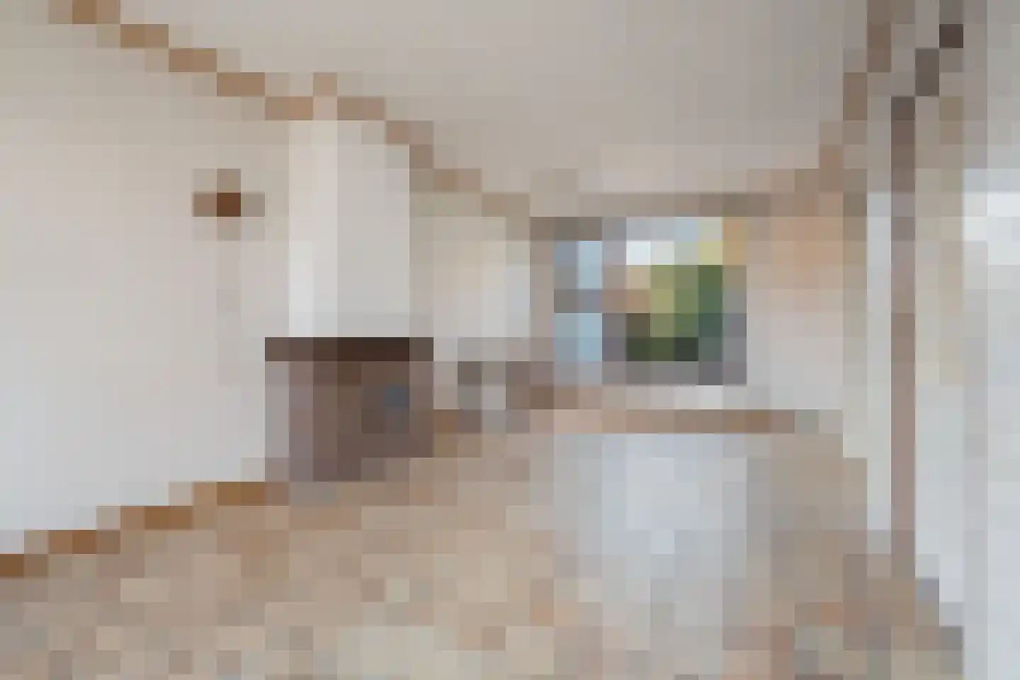 Meerzicht 9 Abcoude thumbnail 9