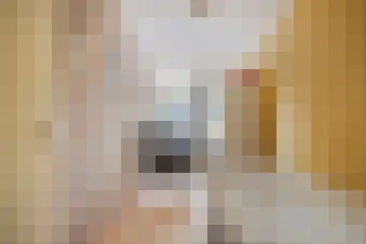 Meerzichtlaan 220 Zoetermeer thumbnail 12