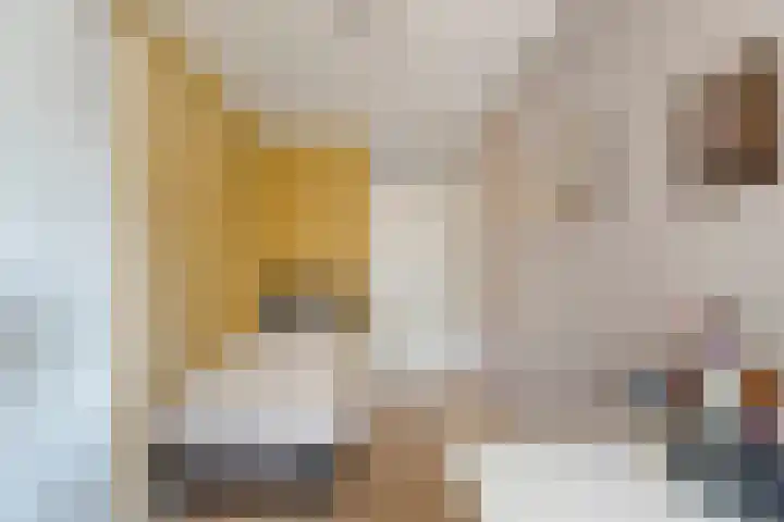 Meerzichtlaan 220 Zoetermeer thumbnail 13