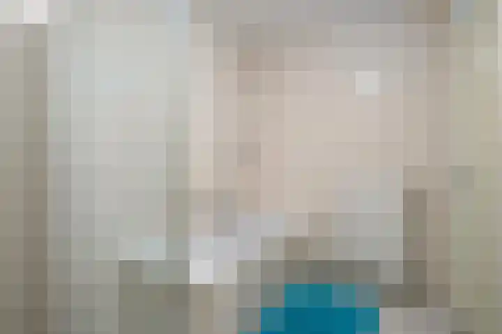 Meerzichtlaan 220 Zoetermeer thumbnail 15